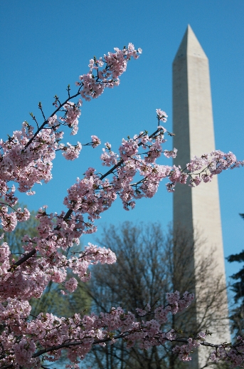 El Monument a Washington va sofrir danys estructurals i sembla ser que romandrà tancat una temporada