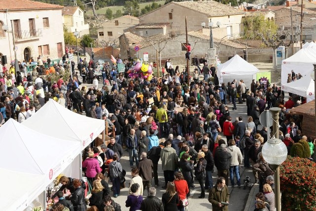 Fira de Sant Sebastiá EcoFira d'Òdena 2013. Foto. Aj. Òdena