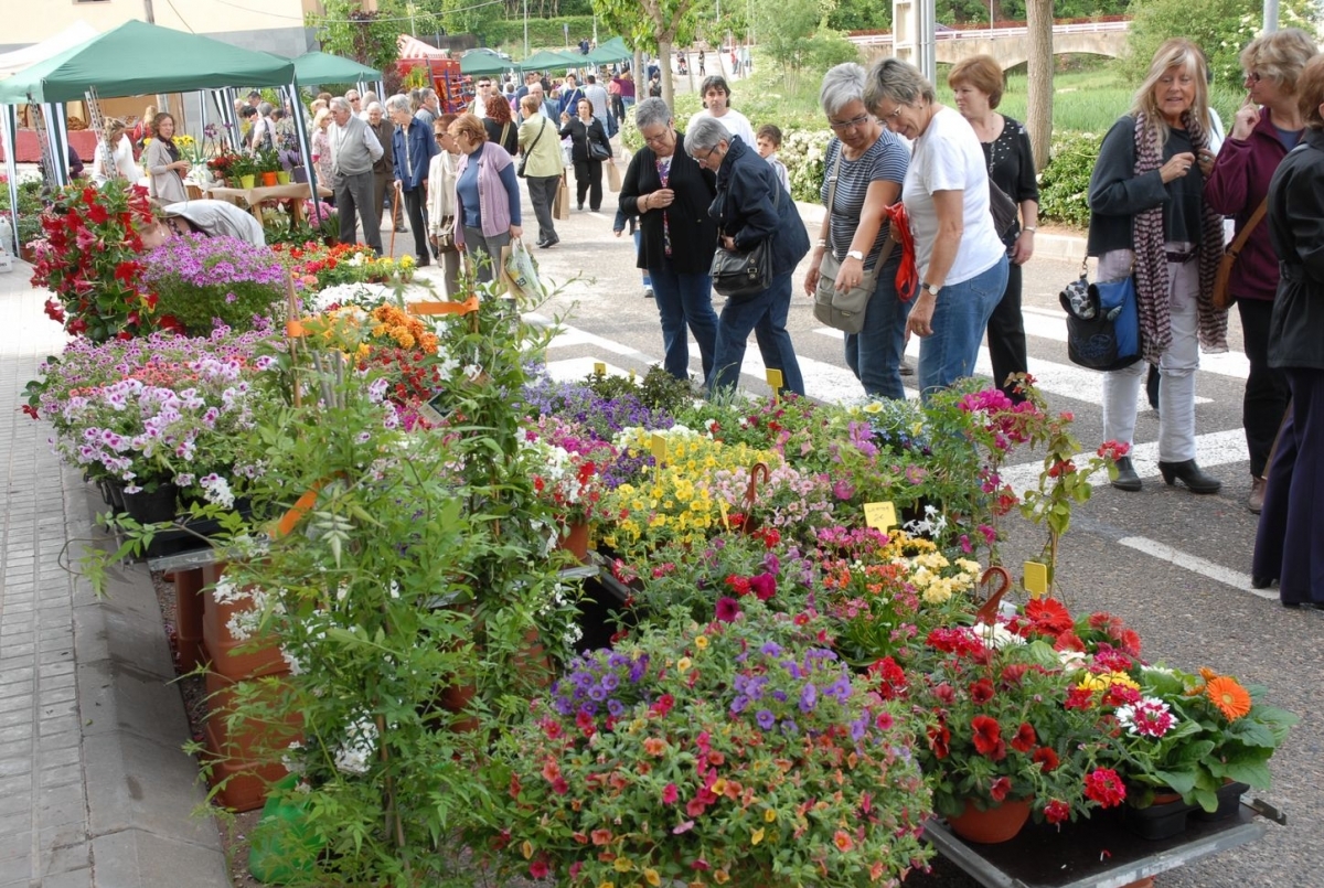 Una mostra de jardineria que porta cada any desenes d'expositors