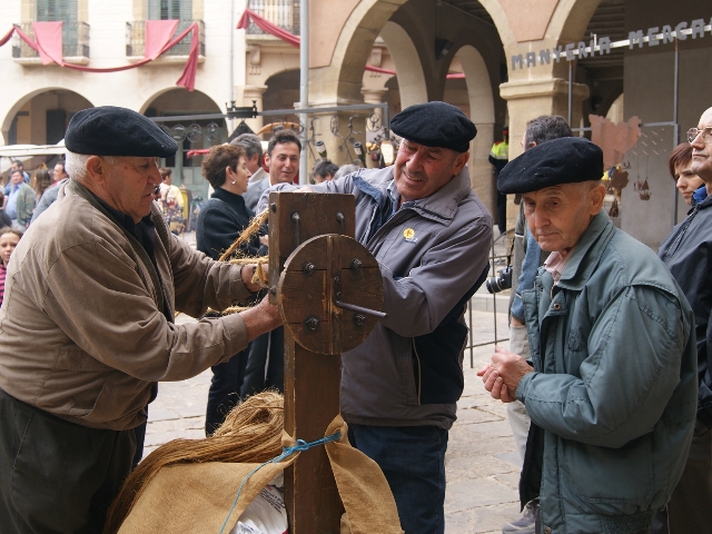 Ofici de corder o soguer