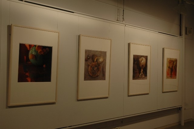 Natures Mortes, a la sala d'exposicions