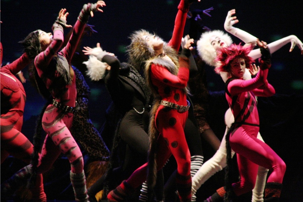 Imatge de l'espectacle sobre el musical Cats