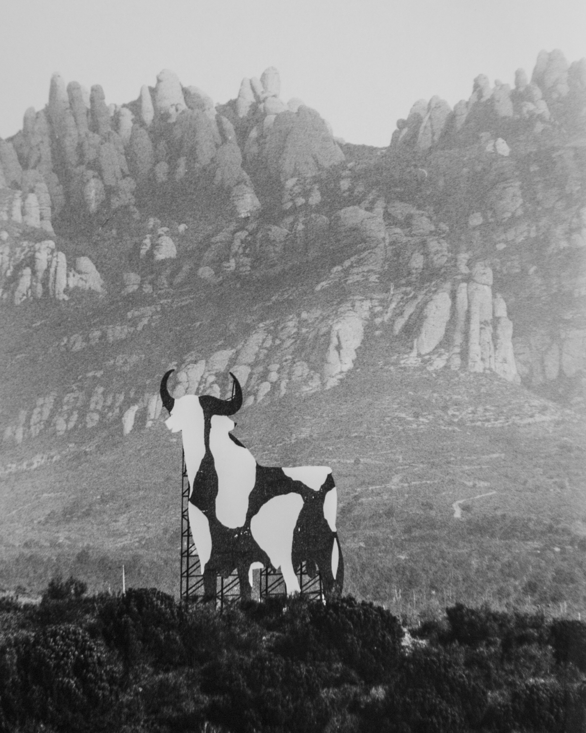 El 'Toru' dels artistes igualadins: convertit en vaca FOTO: R. Velàzquez