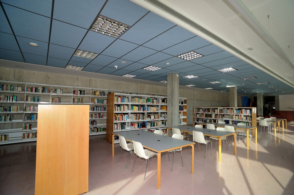La Biblioteca del Campus Universitari, al Pla de la Massa