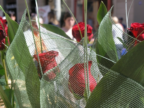 Sant Jordi coincideix, enguany, amb el dissabte Sant