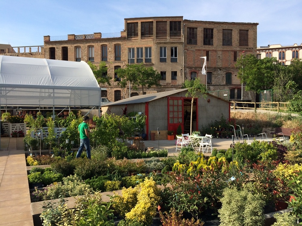 El nou Club Flor de Te es presentarà divendres al Viver del Rec