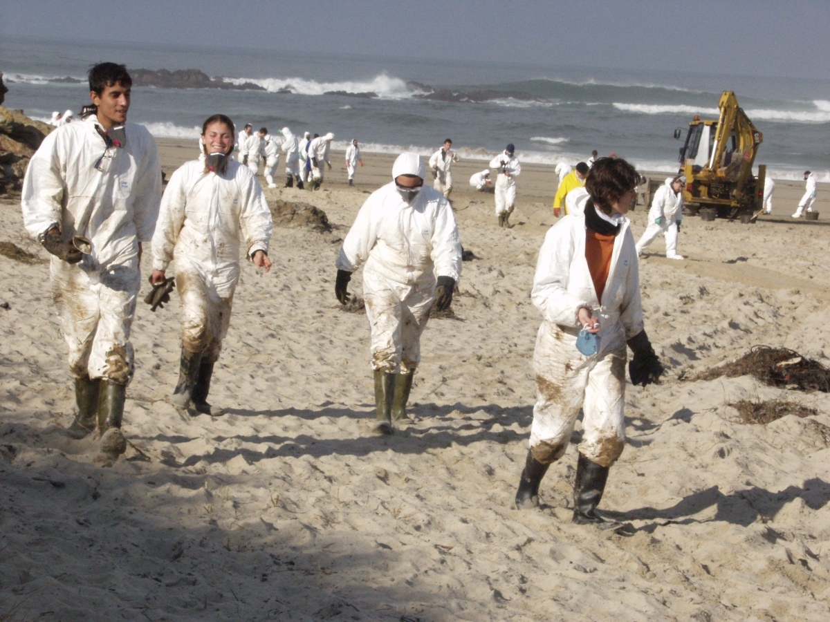 Alguns dels voluntaris, a la platja gallega FOTO: Manuel Hidalgo