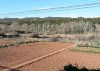 Vista dels horts de Carme