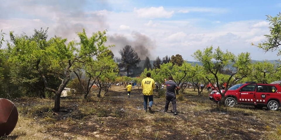 Voluntaris de l'ADF, a la zona cremada, junt a efectius dels Bombers FOTO: Ajt. Montbui