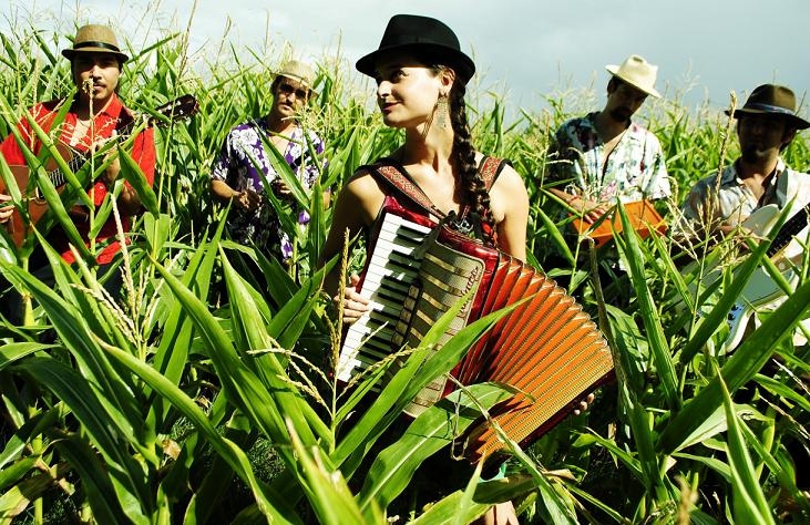 Pascuala Ilabaca y Fauna