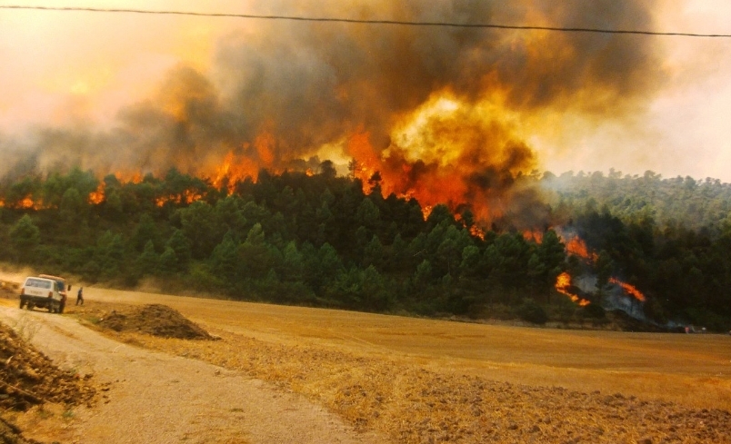 Una imatge de l'incendi a la zona bagenca foto: Marc Sellarès