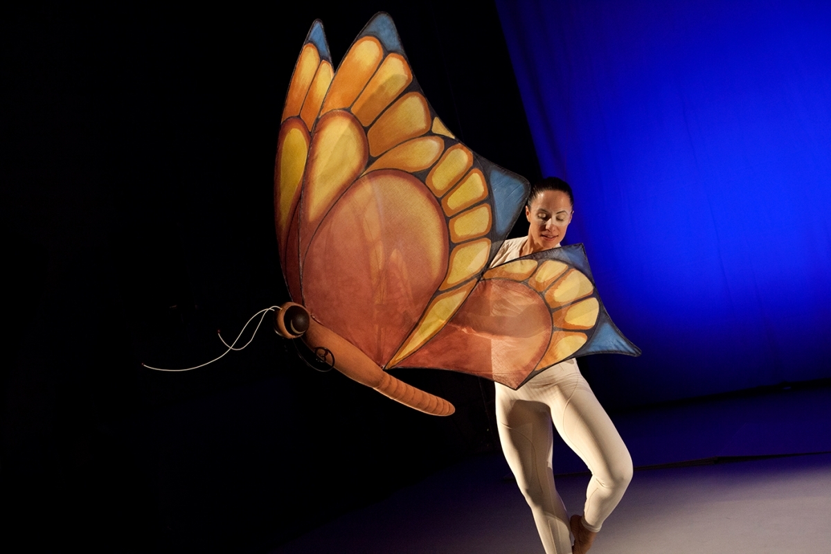 Rrrrrr. Història d’una eruga. Príncep Totilau.