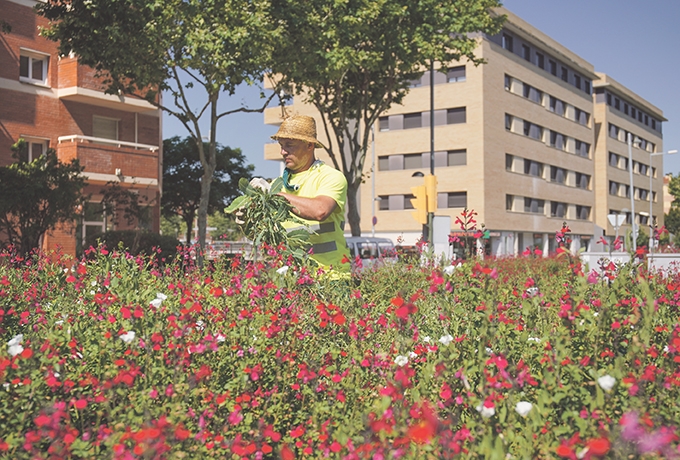 Treballs de manteniment de les zones verdes a Igualada. &Agrave;URIA