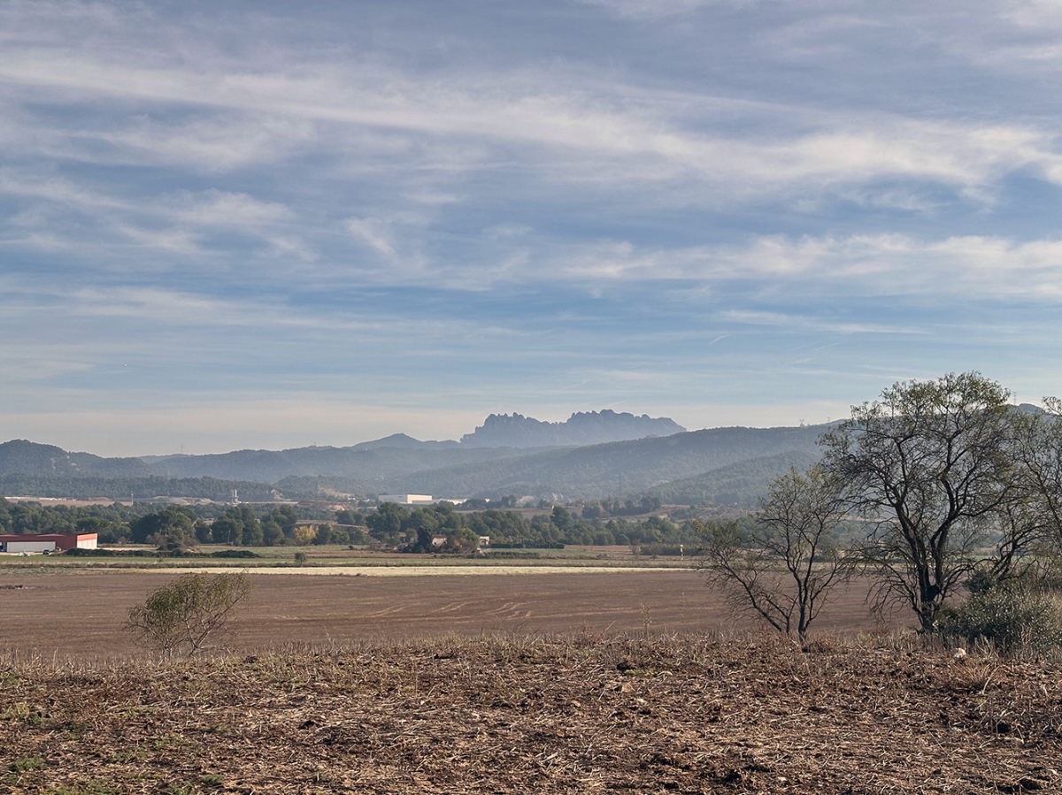 Zona que es podira veure afectada. Marc Soler.
