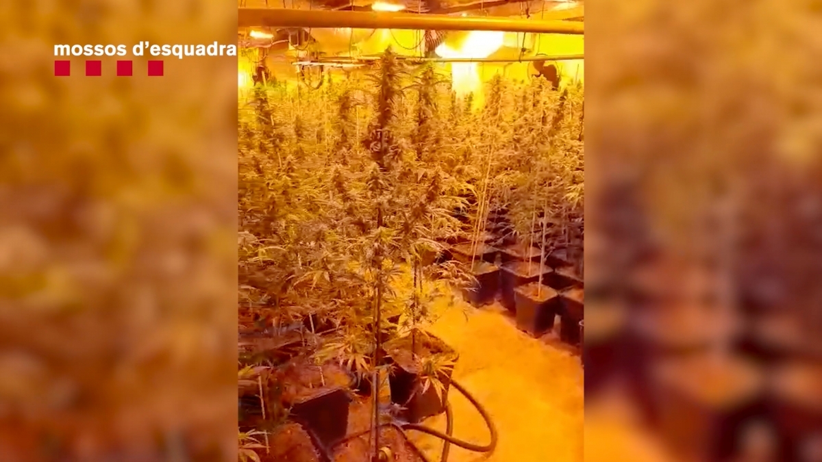 Fragment del vídeo del desmantellament. Mossos d'Esquadra.