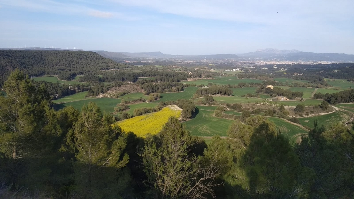 Una de les zones afectades pel parc