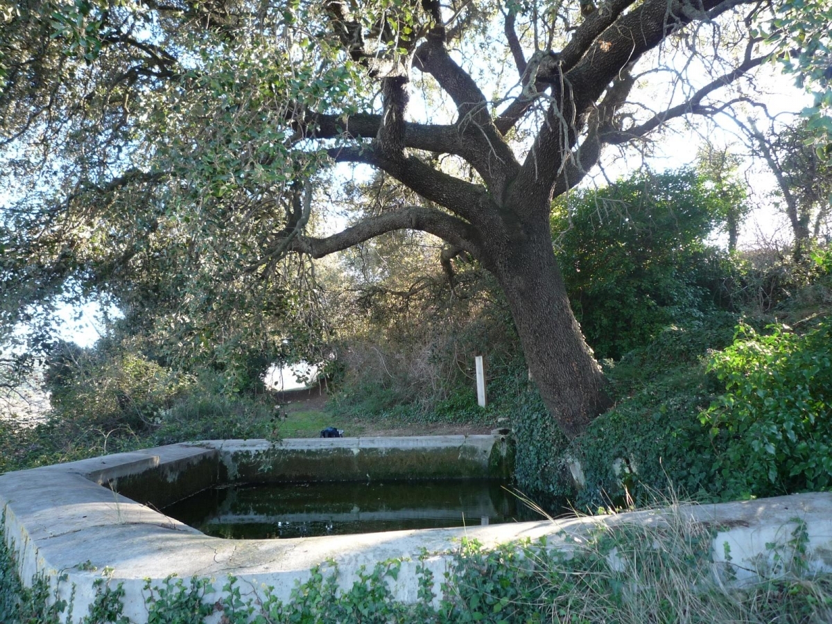 Font de les Clotes