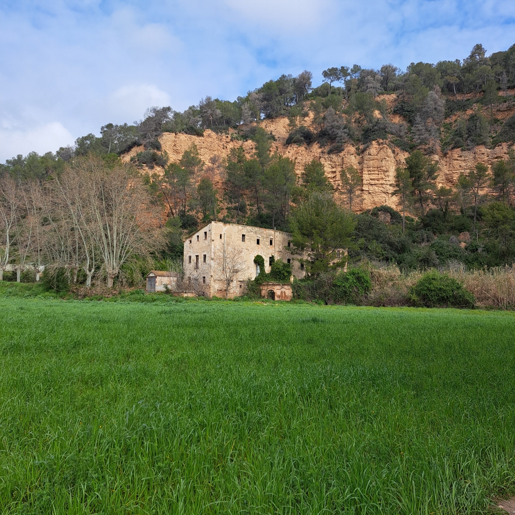 Molí de Cal Ferrer del Coll de Piera. DIBA.
