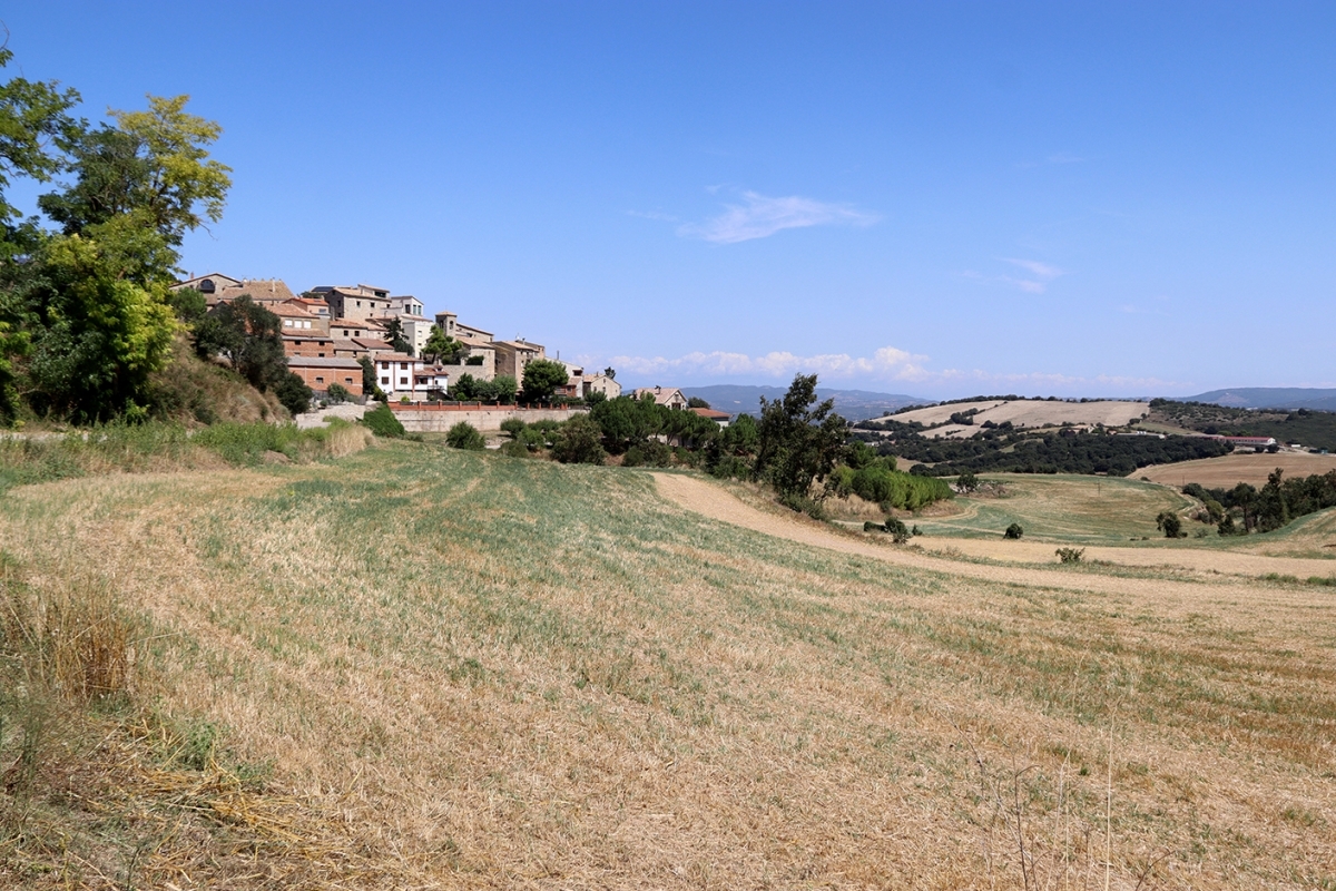 Nucli de Conill. Mar Martí. ACN.
