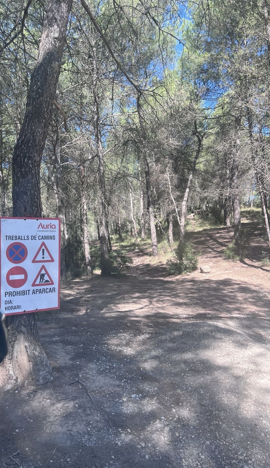 Camí arranjat. Ajuntament d'Òdena.