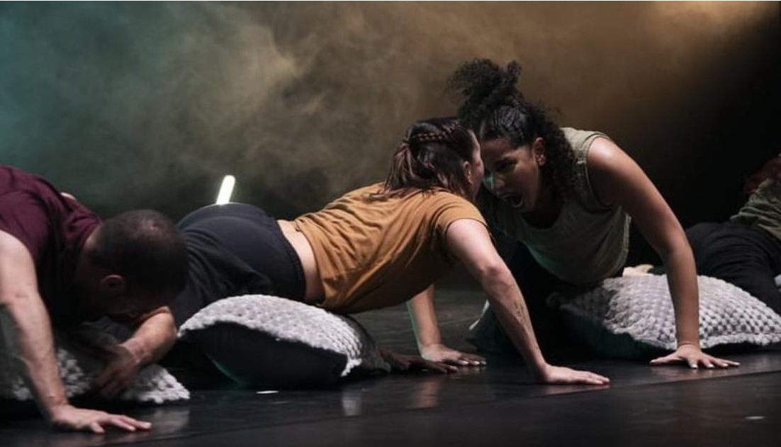 Imatge de l'obra. Associaci&oacute; Catalana per la Pau.