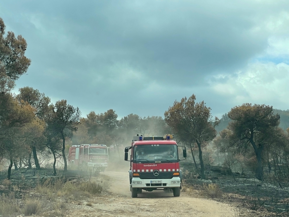 Foto: Toni Cortés