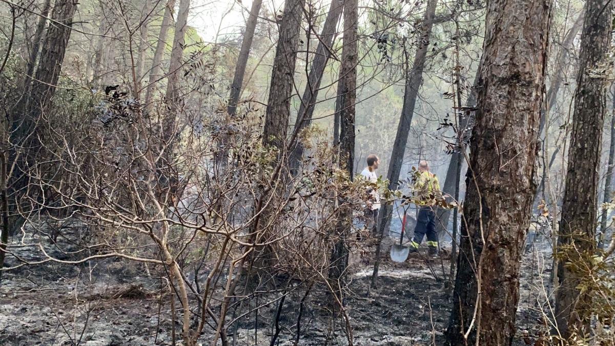 Un voluntari i un Bomber, desolats davant el bosc cremat a Miralles FOTO: R. Tarragó
