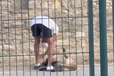 Fragment del vídeo on es veu l'agressió.