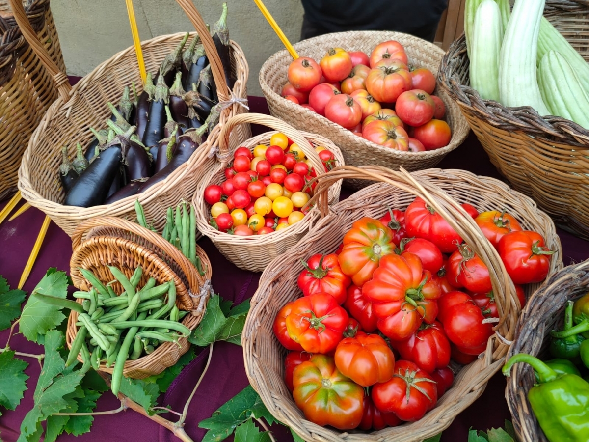 Mostra de productes de proximitat. Ajuntament de Copons.