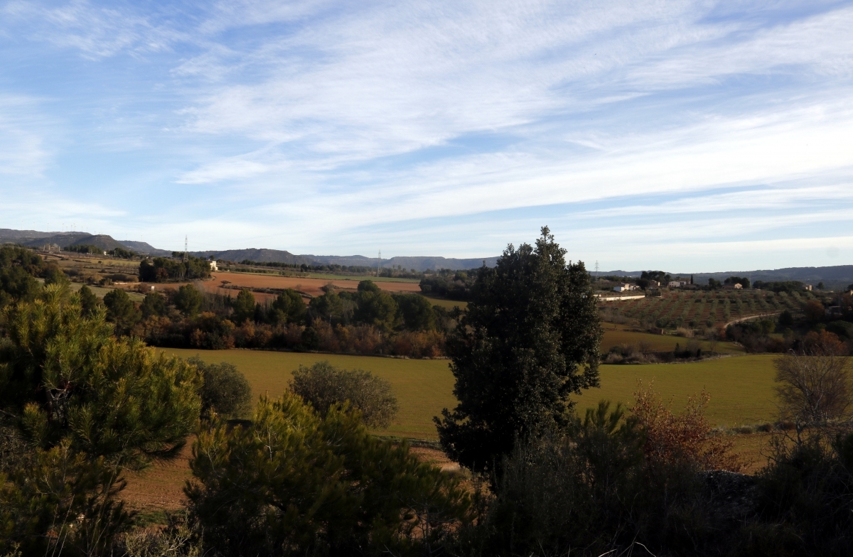 Panoràmica de la zona de Can Morera FOTO: ACN