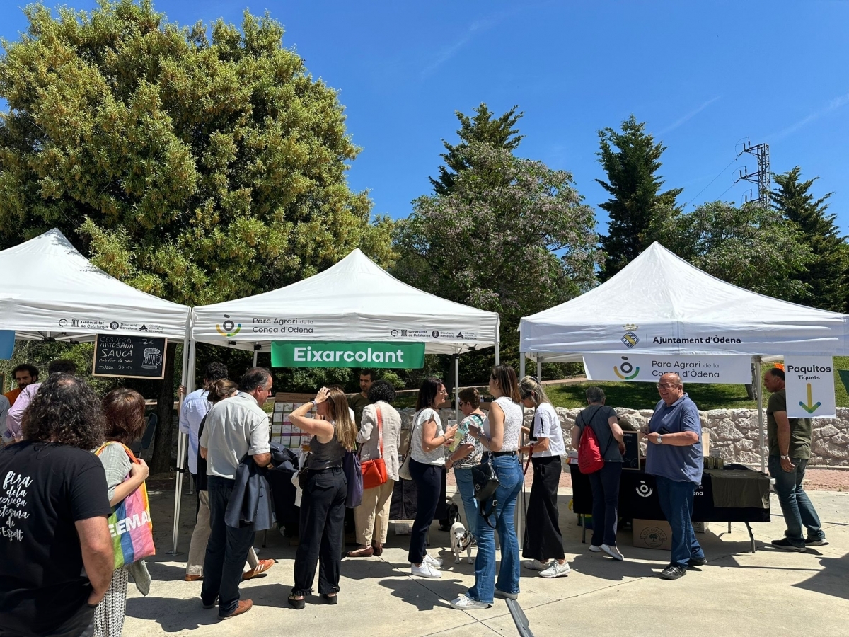 Mostra d'anys anteriors. PACO.