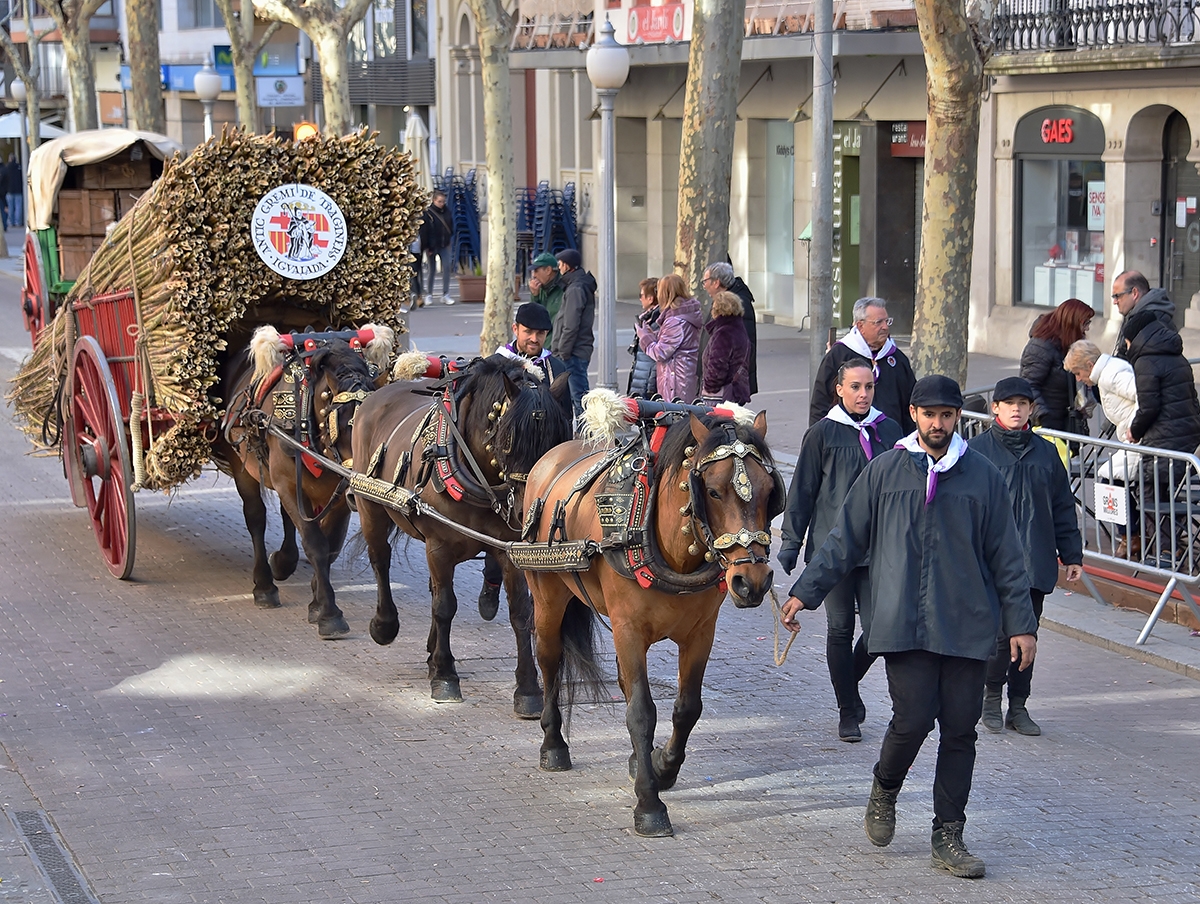 Tres Tombs de 2023 al seu pas per la Rambla. Foto: Manel Marimon i Gomis.