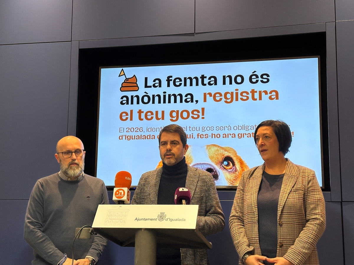 Alcaldes dels municipis durant la compareixença. Marc Soler.