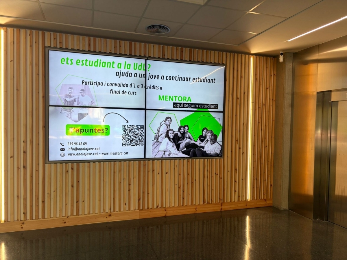 Anunci de la iniciativa. Consell Comarcal.