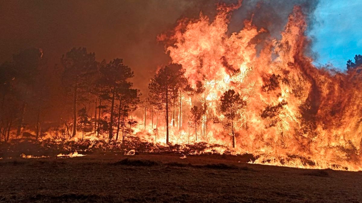 Incendi forestal de l&rsquo;Anoia i la Conca de Barber&agrave; de 2021. Foto: Bombers.
