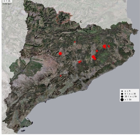 Distribució dels exemplars d'aquesta orquídia al Principat