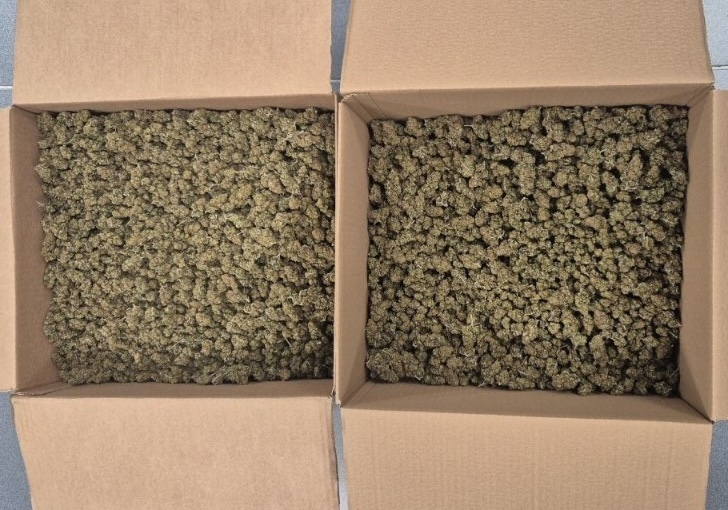 Marihuana trobada al vehicle. Mossos.