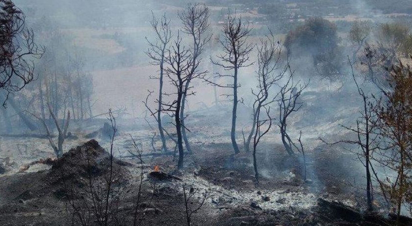 Incendi a Jorba el setembre del 2017 (Foto: Bombers)