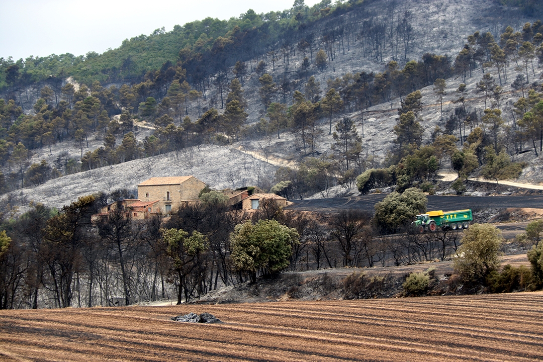 Incendi de Sant Pere Sallavinera. Mar Martí - ACN