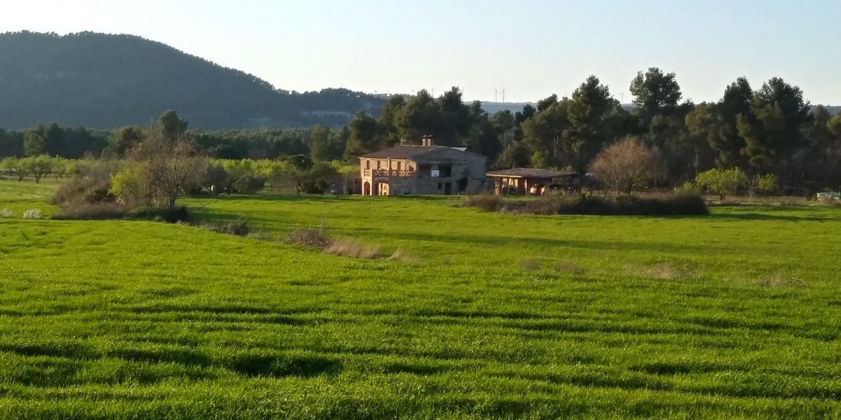 Una imatge de la zona afectada FOTO: Salvem Tous