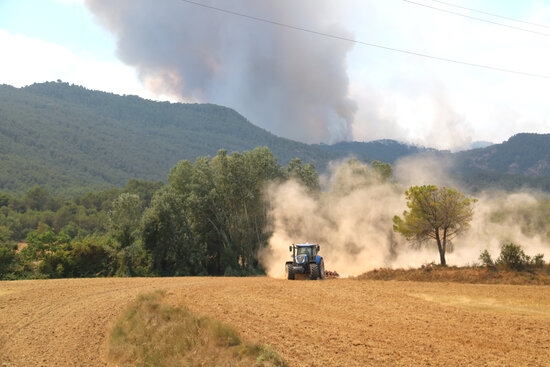 Un tractor llaurant un camp de cereal segat a Sant Martí de Tous, davant la columna de fum del foc (Foto: Anna Ferràs/ACN)