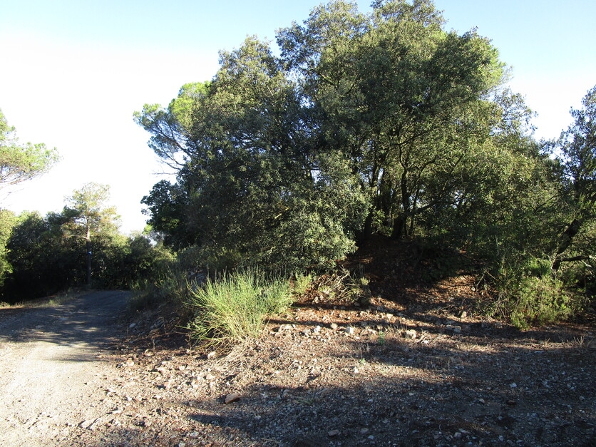 Muntanya de la Fembra Morta (Foto: Memorial Democr&agrave;tic)