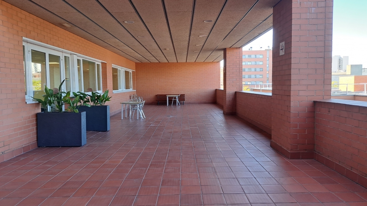 Terrassa actual. CSA.